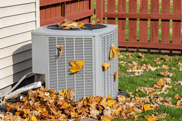 Best Air Conditioning Cleaning in Bernie, MO